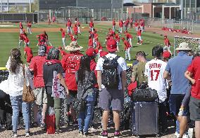 Baseball: MLB spring training