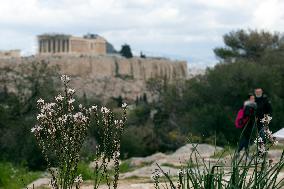 GREECE-ATHENS-SPRING