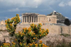 GREECE-ATHENS-SPRING