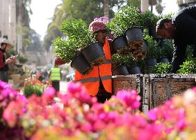 EGYPT-CAIRO-SPRING