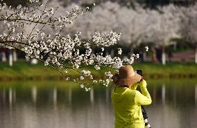 #CHINA-SPRING-SCENERY-FARMING