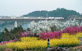 #CHINA-SPRING-SCENERY-FARMING