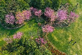 #CHINA-SPRING-SCENERY-FARMING