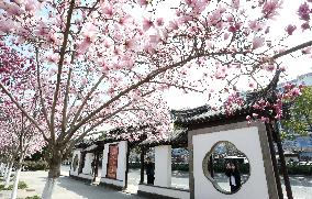 #CHINA-SPRING-SCENERY-FARMING