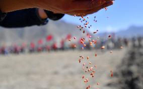 (InTibet)CHINA-TIBET-SPRING FARMING (CN)