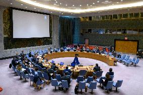 UN-SECURITY COUNCIL-LIBYA-MEETING
