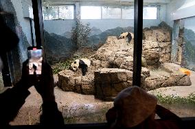 U.S.-WASHINGTON, D.C.-SMITHSONIAN'S NATIONAL ZOO-GIANT PANDA PROGRAM-50TH ANNIVERSARY