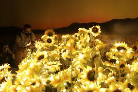 BRAZIL-SAO PAULO-VAN GOGH-EXHIBITION