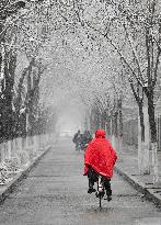 #CHINA-WEATHER-SNOW (CN)