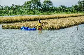 INDONESIA-PURWOREJO-FLOOD