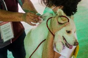 PHILIPPINES-QUEZON CITY-PETS-FREE RABIES VACCINATION