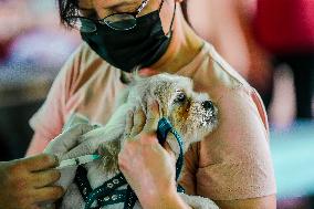 PHILIPPINES-QUEZON CITY-PETS-FREE RABIES VACCINATION