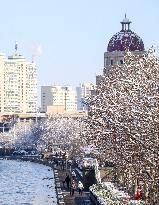 CHINA-TIANJIN-SNOW SCENERY (CN)