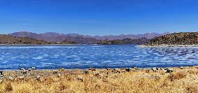 CHINA-TIBET-YAMZBOG YUMCO LAKE-SCENERY (CN)