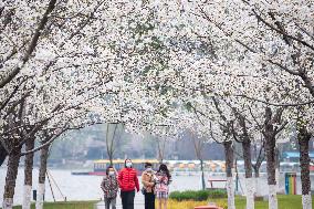 #CHINA-SPRING-SCENERY (CN)