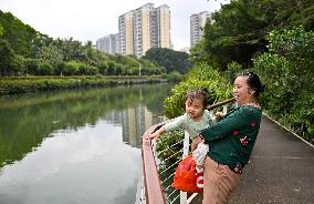 CHINA-HAINAN-HAIKOU-"MOTHER RIVER"-NEW BIRTH (CN)