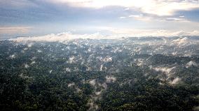 THAILAND-KHAO YAI NATIONAL PARK-AERIAL VIEW