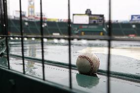 Baseball: Koshien Stadium