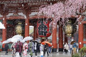 Sleet falls in Tokyo