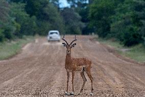 NAMIBIA-BWABWATA NATIONAL PARK