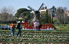 ITALY-ROME-TULIPS