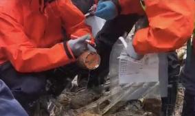 CHINA-GUANGXI-PLANE CRASH-BLACK BOX (CN)