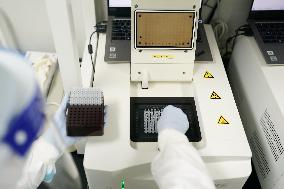 CHINA-SHANGHAI-COVID-19-NUCLEIC ACID TEST-LABORATORY (CN)