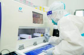 CHINA-SHANGHAI-COVID-19-NUCLEIC ACID TEST-LABORATORY (CN)