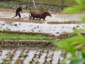 #CHINA-SPRING-FARMING (CN)