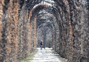 AUSTRIA-VIENNA-SPRING SCENERY