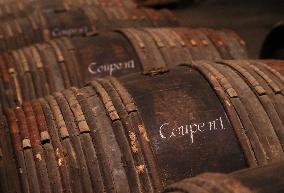 FRANCE-COGNAC-GEOGRAPHICAL INDICATION