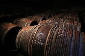 FRANCE-COGNAC-GEOGRAPHICAL INDICATION