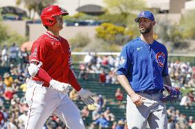 Baseball: MLB spring training