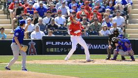 Baseball: MLB spring training