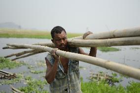 INDIA-ASSAM-GUWAHATI-BAMBOO MARKET