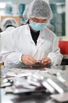 CHINA-JIANGSU-NANJING-PRODUCTION (CN)