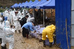 CHINA-GUANGXI-PLANE CRASH-RESCUE (CN)