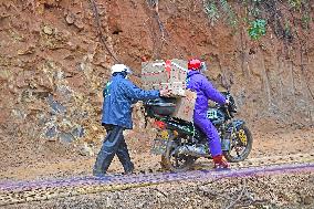 CHINA-GUANGXI-PLANE CRASH-VOLUNTEER RIDERS (CN)