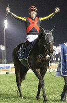 Horse racing: Dubai World Cup