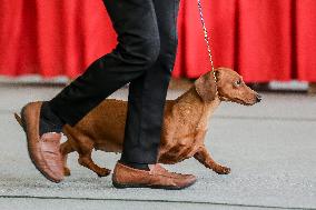 PHILIPPINES-MARIKINA CITY-DOG SHOW