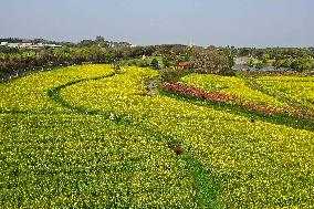 CHINA-NANJING-COLE-FLOWERS (CN)