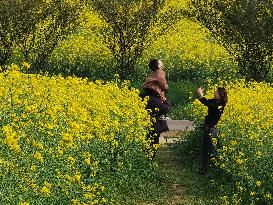 CHINA-NANJING-COLE-FLOWERS (CN)