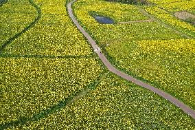 CHINA-NANJING-COLE-FLOWERS (CN)