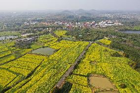 CHINA-NANJING-COLE-FLOWERS (CN)