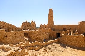 EGYPT-SIWA-SCENERY