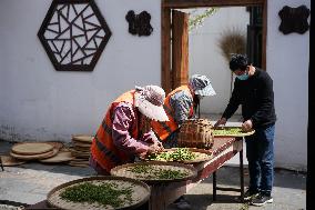 CHINA-JIANGSU-NANJING-TEA-HARVEST (CN)