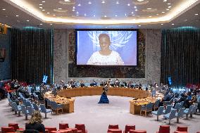 UN-SECURITY COUNCIL-MEETING-DRC