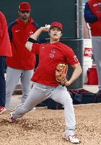 Baseball: MLB spring training