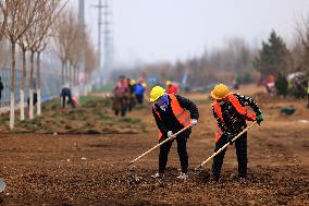 CHINA-HEBEI-XIONG'AN-MINGLANGNAN STREET-CONSTRUCTION (CN)