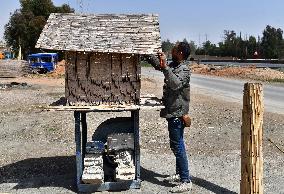 SYRIA-DAMASCUS-REEDS-CRAFT